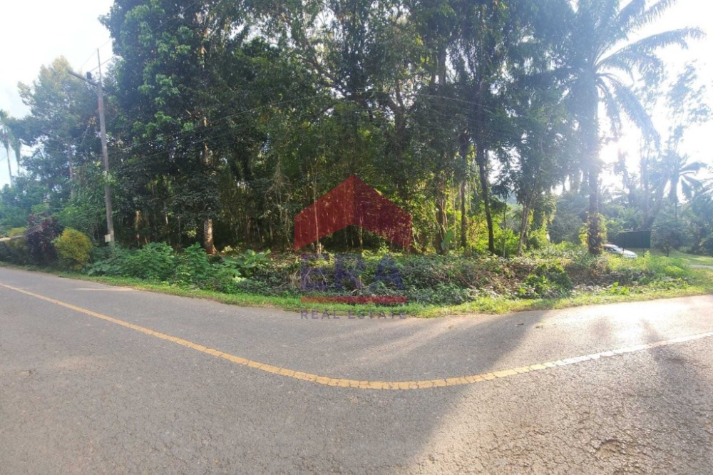 For SaleLandKrabi : Khao Klom land, 2 rai, 3 ngan, 93 sq m, near Din Daeng Doi