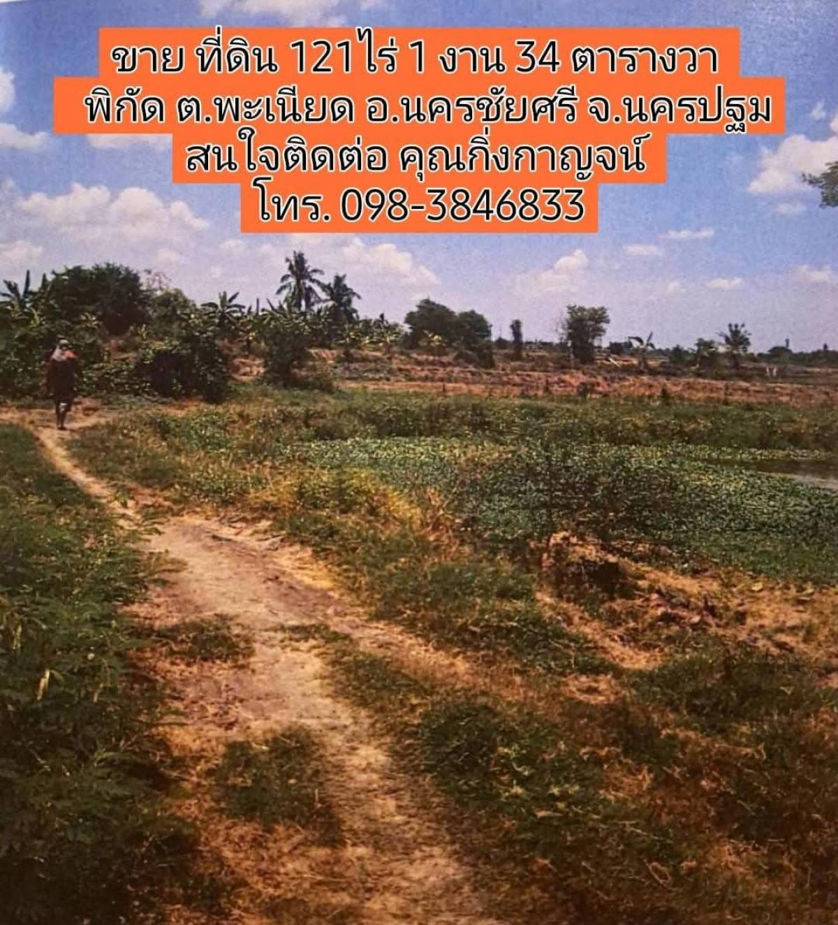 For SaleLandNakhon Pathom : Land for sale in Phaniat Subdistrict, Nakhon Pathom Province