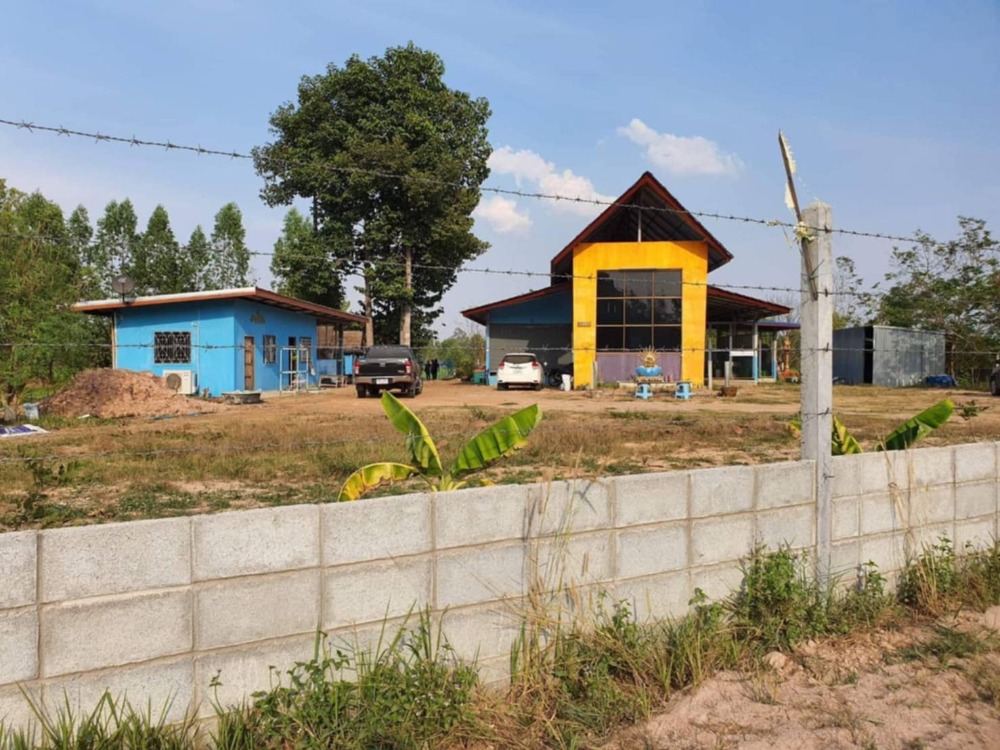 ขายบ้านกาฬสินธุ์ : ขายด่วน ราคาทุน ร้อนเงิน บ้านพร้อมที่ดินติดถนน 8 เลน   พิเศษ 1.2 ล้านถ้วนไปเลย ที่ดิน 1 ไร่  โทร 062 665 9936 พล