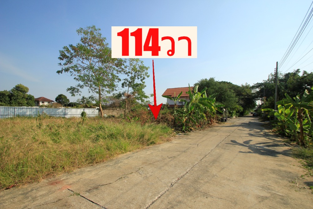 ขายที่ดินพุทธมณฑล ศาลายา : ที่ดินพุทธมณฑลสาย2ซอย21 ซอยศุภมิตร 114วา ที่ดินสร้างบ้าน ติดทางสาธารณะประโยชน์ ใกล้ถนนพรานนกสาย4 ตัดใหม่ เดินทางสะดวก 29,000บาท/วา