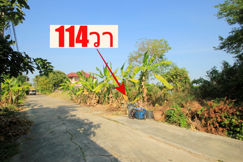 ขายที่ดินพุทธมณฑล ศาลายา : ที่ดินพุทธมณฑลสาย2ซอย21 ซอยศุภมิตร 114วา ที่ดินสร้างบ้าน ติดทางสาธารณะประโยชน์ ใกล้ถนนพรานนกสาย4 ตัดใหม่ เดินทางสะดวก 29,000บาท/วา