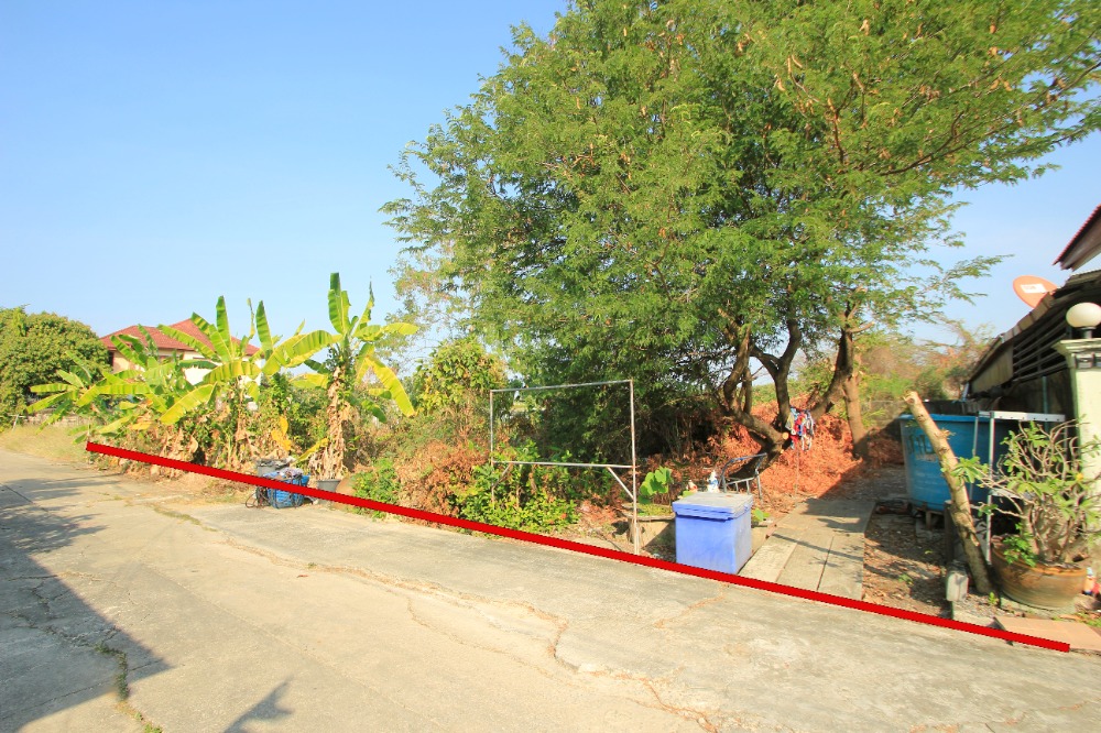 ขายที่ดินพุทธมณฑล ศาลายา : ที่ดินพุทธมณฑลสาย2ซอย21 ซอยศุภมิตร 114วา ที่ดินสร้างบ้าน ติดทางสาธารณะประโยชน์ ใกล้ถนนพรานนกสาย4 ตัดใหม่ เดินทางสะดวก 29,000บาท/วา