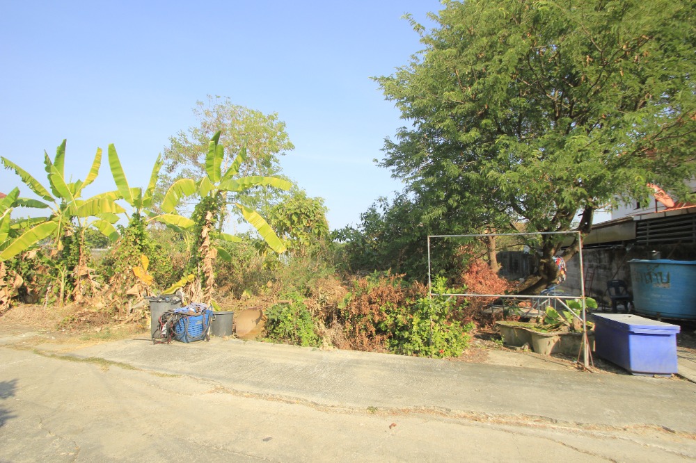 ขายที่ดินพุทธมณฑล ศาลายา : ที่ดินพุทธมณฑลสาย2ซอย21 ซอยศุภมิตร 114วา ที่ดินสร้างบ้าน ติดทางสาธารณะประโยชน์ ใกล้ถนนพรานนกสาย4 ตัดใหม่ เดินทางสะดวก 29,000บาท/วา