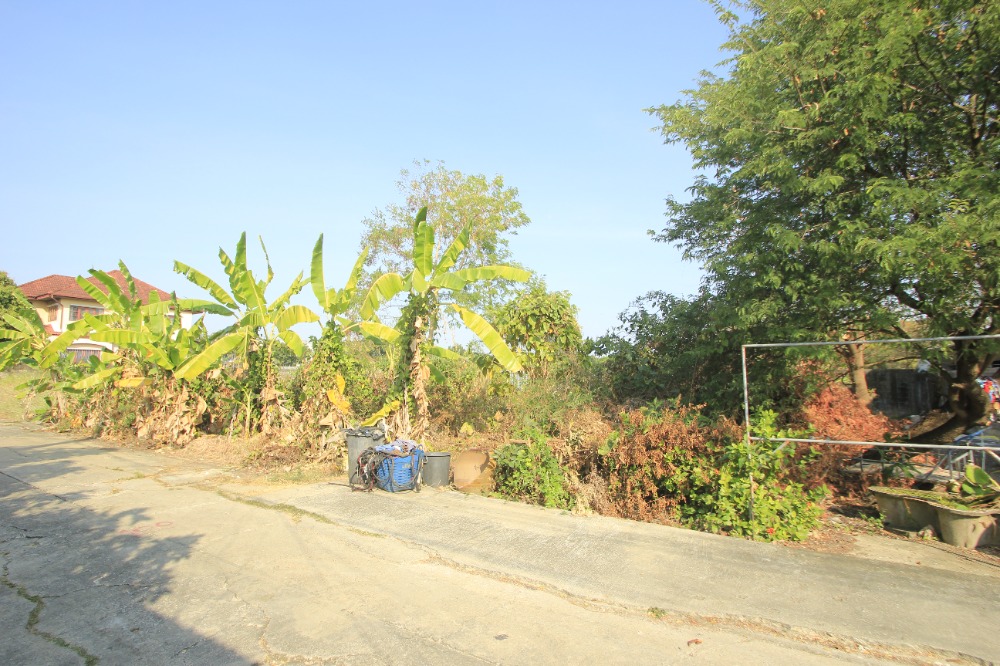 ขายที่ดินพุทธมณฑล ศาลายา : ที่ดินพุทธมณฑลสาย2ซอย21 ซอยศุภมิตร 114วา ที่ดินสร้างบ้าน ติดทางสาธารณะประโยชน์ ใกล้ถนนพรานนกสาย4 ตัดใหม่ เดินทางสะดวก 29,000บาท/วา