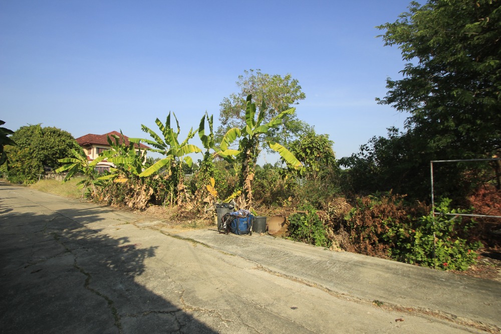 ขายที่ดินพุทธมณฑล ศาลายา : ที่ดินพุทธมณฑลสาย2ซอย21 ซอยศุภมิตร 114วา ที่ดินสร้างบ้าน ติดทางสาธารณะประโยชน์ ใกล้ถนนพรานนกสาย4 ตัดใหม่ เดินทางสะดวก 29,000บาท/วา