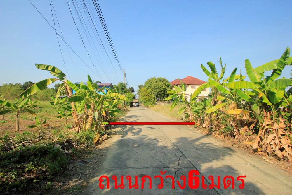 ขายที่ดินพุทธมณฑล ศาลายา : ที่ดินพุทธมณฑลสาย2ซอย21 ซอยศุภมิตร 114วา ที่ดินสร้างบ้าน ติดทางสาธารณะประโยชน์ ใกล้ถนนพรานนกสาย4 ตัดใหม่ เดินทางสะดวก 29,000บาท/วา