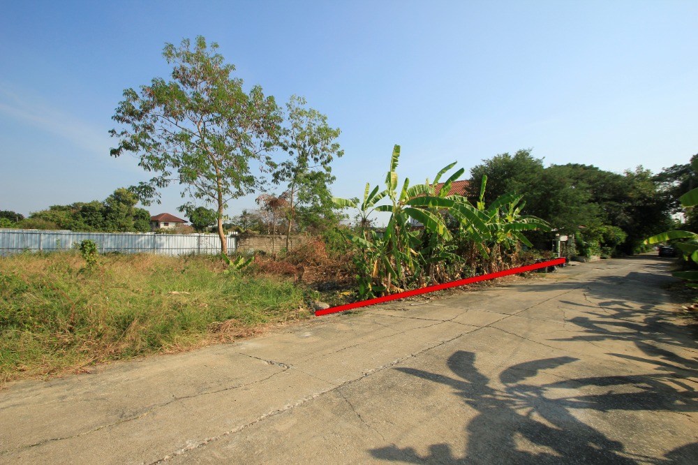 ขายที่ดินพุทธมณฑล ศาลายา : ที่ดินพุทธมณฑลสาย2ซอย21 ซอยศุภมิตร 114วา ที่ดินสร้างบ้าน ติดทางสาธารณะประโยชน์ ใกล้ถนนพรานนกสาย4 ตัดใหม่ เดินทางสะดวก 29,000บาท/วา