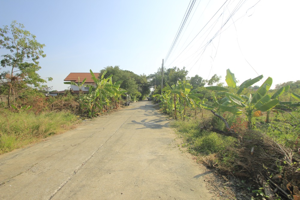 ขายที่ดินพุทธมณฑล ศาลายา : ที่ดินพุทธมณฑลสาย2ซอย21 ซอยศุภมิตร 114วา ที่ดินสร้างบ้าน ติดทางสาธารณะประโยชน์ ใกล้ถนนพรานนกสาย4 ตัดใหม่ เดินทางสะดวก 29,000บาท/วา