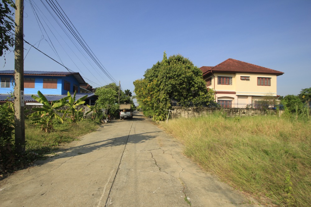 ขายที่ดินพุทธมณฑล ศาลายา : ที่ดินพุทธมณฑลสาย2ซอย21 ซอยศุภมิตร 114วา ที่ดินสร้างบ้าน ติดทางสาธารณะประโยชน์ ใกล้ถนนพรานนกสาย4 ตัดใหม่ เดินทางสะดวก 29,000บาท/วา