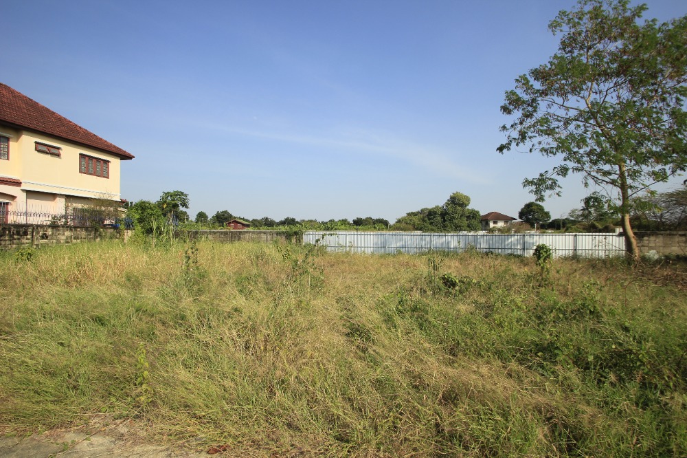 ขายที่ดินพุทธมณฑล ศาลายา : ที่ดินพุทธมณฑลสาย2ซอย21 ซอยศุภมิตร 114วา ที่ดินสร้างบ้าน ติดทางสาธารณะประโยชน์ ใกล้ถนนพรานนกสาย4 ตัดใหม่ เดินทางสะดวก 29,000บาท/วา