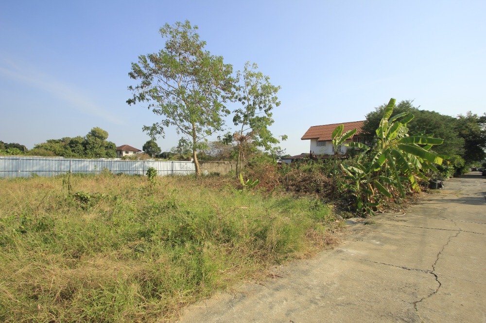 ขายที่ดินพุทธมณฑล ศาลายา : ที่ดินพุทธมณฑลสาย2ซอย21 ซอยศุภมิตร 114วา ที่ดินสร้างบ้าน ติดทางสาธารณะประโยชน์ ใกล้ถนนพรานนกสาย4 ตัดใหม่ เดินทางสะดวก 29,000บาท/วา