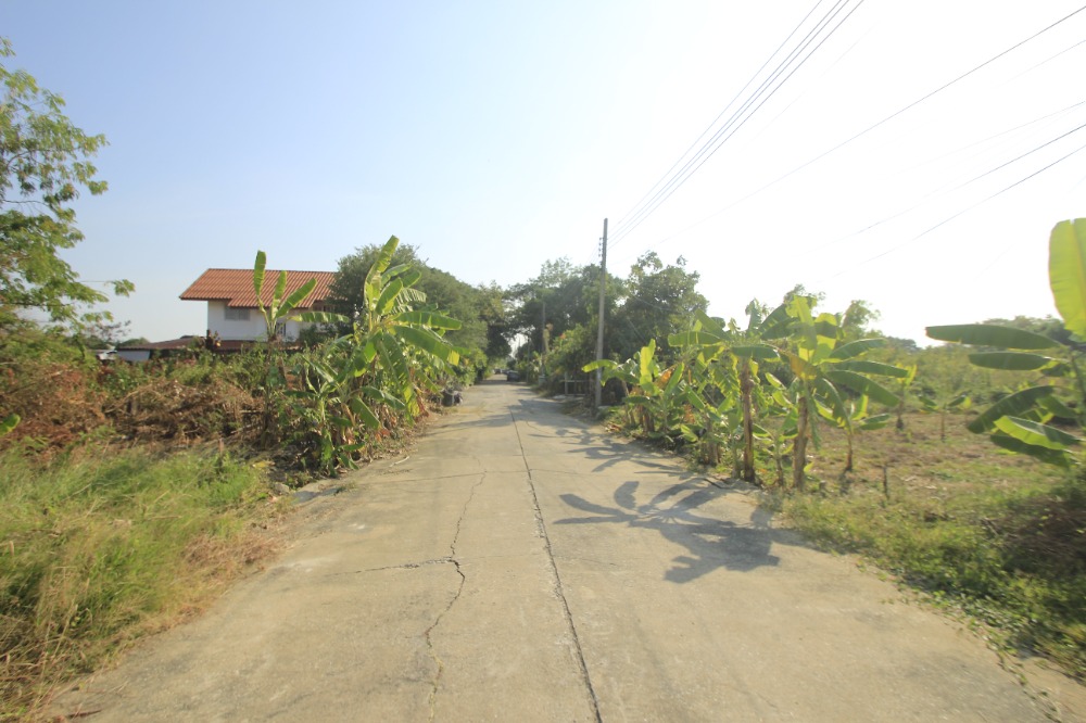 ขายที่ดินพุทธมณฑล ศาลายา : ที่ดินพุทธมณฑลสาย2ซอย21 ซอยศุภมิตร 114วา ที่ดินสร้างบ้าน ติดทางสาธารณะประโยชน์ ใกล้ถนนพรานนกสาย4 ตัดใหม่ เดินทางสะดวก 29,000บาท/วา