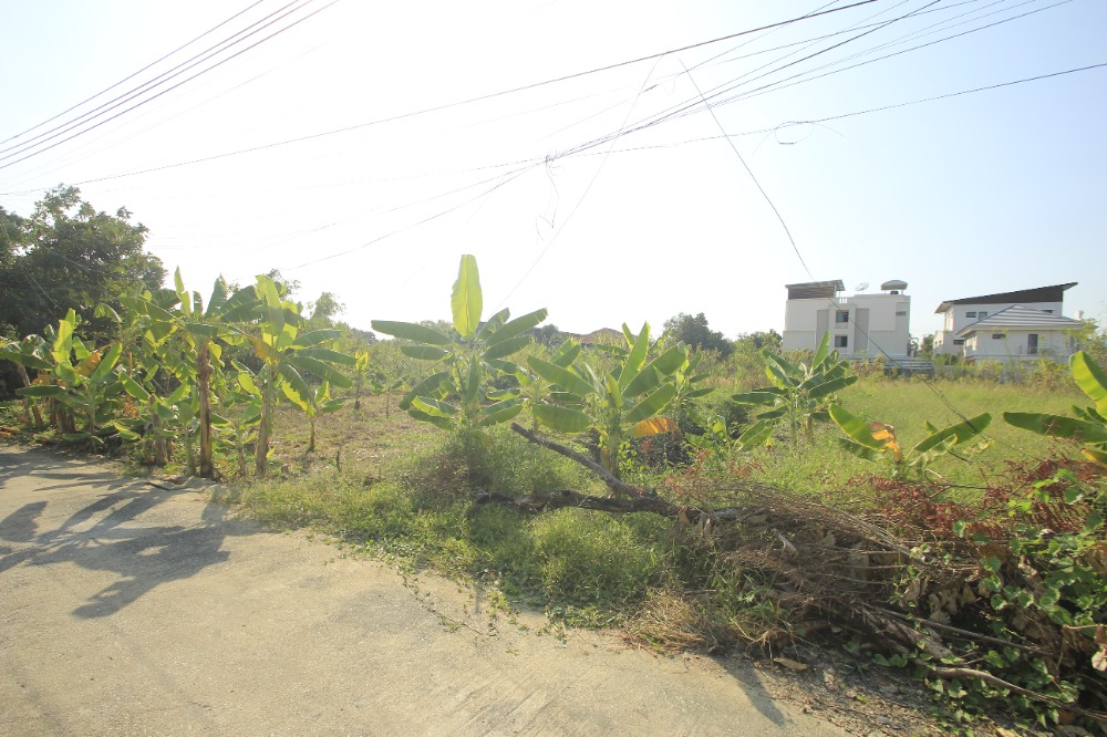 ขายที่ดินพุทธมณฑล ศาลายา : ที่ดินพุทธมณฑลสาย2ซอย21 ซอยศุภมิตร 114วา ที่ดินสร้างบ้าน ติดทางสาธารณะประโยชน์ ใกล้ถนนพรานนกสาย4 ตัดใหม่ เดินทางสะดวก 29,000บาท/วา