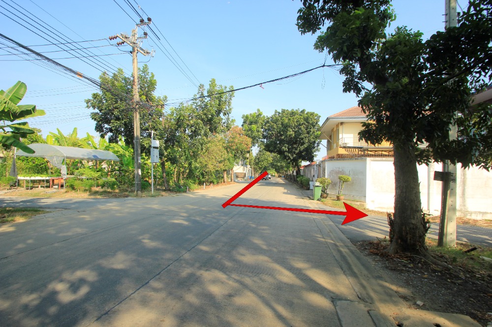 ขายที่ดินพุทธมณฑล ศาลายา : ที่ดินพุทธมณฑลสาย2ซอย21 ซอยศุภมิตร 114วา ที่ดินสร้างบ้าน ติดทางสาธารณะประโยชน์ ใกล้ถนนพรานนกสาย4 ตัดใหม่ เดินทางสะดวก 29,000บาท/วา