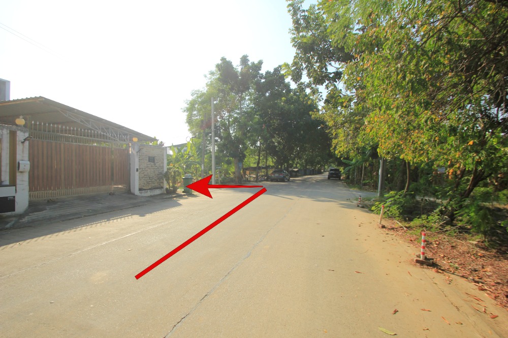 ขายที่ดินพุทธมณฑล ศาลายา : ที่ดินพุทธมณฑลสาย2ซอย21 ซอยศุภมิตร 114วา ที่ดินสร้างบ้าน ติดทางสาธารณะประโยชน์ ใกล้ถนนพรานนกสาย4 ตัดใหม่ เดินทางสะดวก 29,000บาท/วา