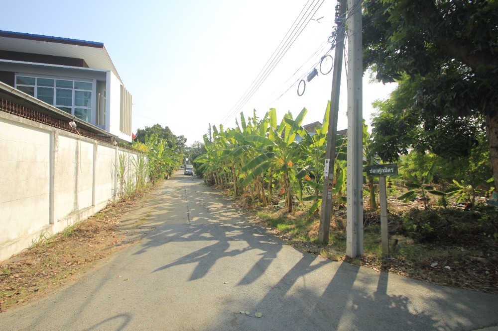 ขายที่ดินพุทธมณฑล ศาลายา : ที่ดินพุทธมณฑลสาย2ซอย21 ซอยศุภมิตร 114วา ที่ดินสร้างบ้าน ติดทางสาธารณะประโยชน์ ใกล้ถนนพรานนกสาย4 ตัดใหม่ เดินทางสะดวก 29,000บาท/วา