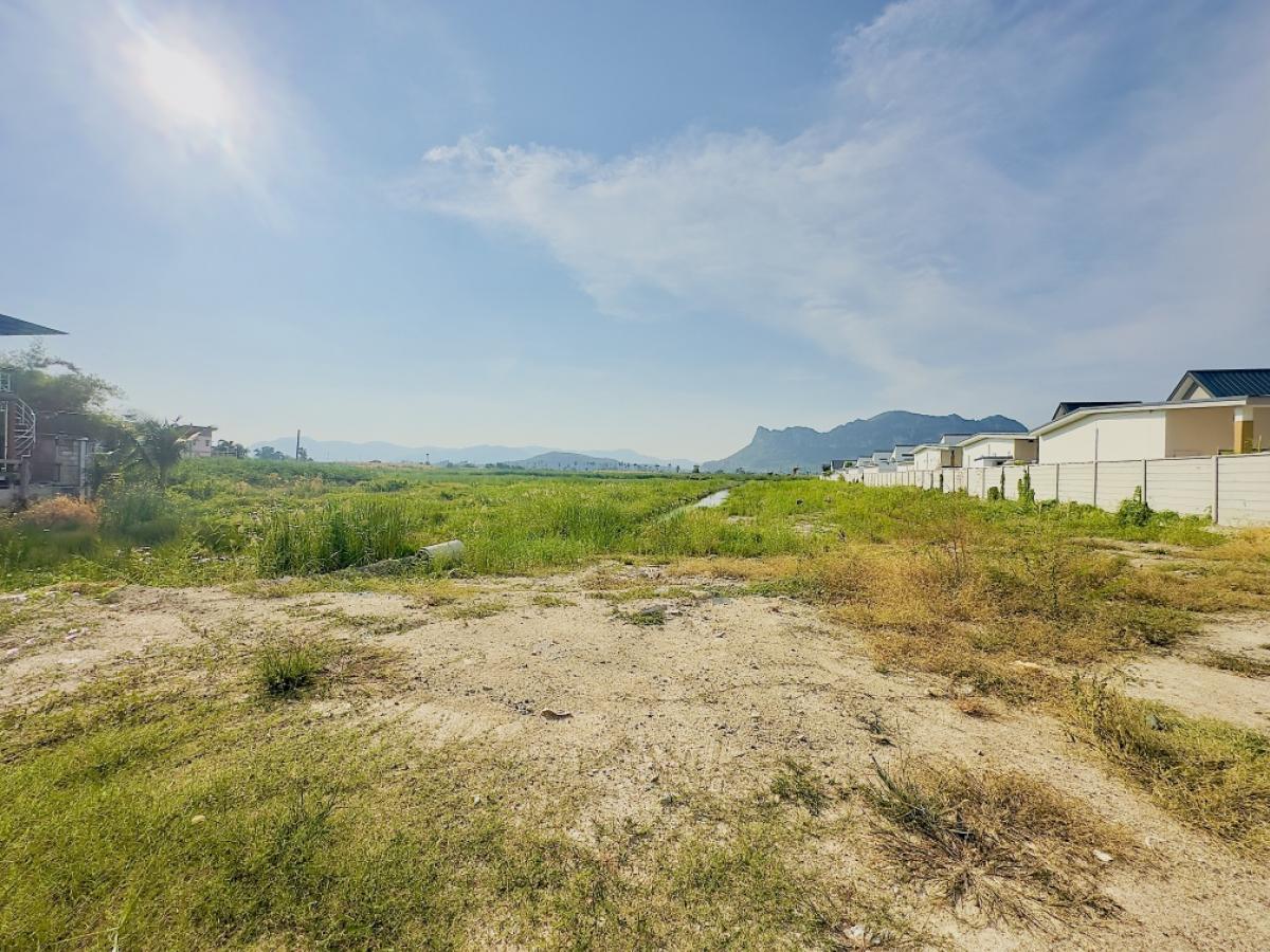 ขายที่ดินชะอำ เพชรบุรี : ขายต่ำกว่าราคาประเมิน ที่ดินแปลงใหญ่ วิวภูเขา ใกล้หาดชะอำ เนื้อทึ่ 16-1-84 ไร่ ถนนเพชรเกษม ตำบลชะอำ อำเภอชะอำ จังหวัดเพชรบบุรี