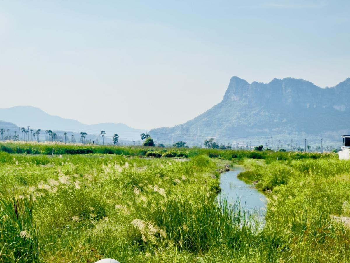 ขายที่ดินชะอำ เพชรบุรี : ขายต่ำกว่าราคาประเมิน ที่ดินแปลงใหญ่ วิวภูเขา ใกล้หาดชะอำ เนื้อทึ่ 16-1-84 ไร่ ถนนเพชรเกษม ตำบลชะอำ อำเภอชะอำ จังหวัดเพชรบบุรี