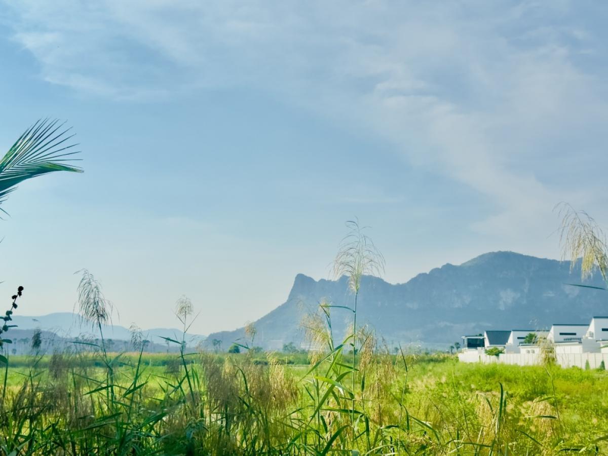 ขายที่ดินชะอำ เพชรบุรี : ขายต่ำกว่าราคาประเมิน ที่ดินแปลงใหญ่ วิวภูเขา ใกล้หาดชะอำ เนื้อทึ่ 16-1-84 ไร่ ถนนเพชรเกษม ตำบลชะอำ อำเภอชะอำ จังหวัดเพชรบบุรี