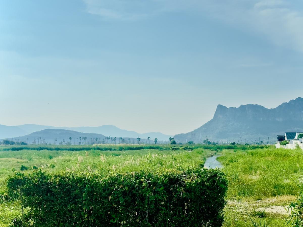 ขายที่ดินชะอำ เพชรบุรี : ขายต่ำกว่าราคาประเมิน ที่ดินแปลงใหญ่ วิวภูเขา ใกล้หาดชะอำ เนื้อทึ่ 16-1-84 ไร่ ถนนเพชรเกษม ตำบลชะอำ อำเภอชะอำ จังหวัดเพชรบบุรี