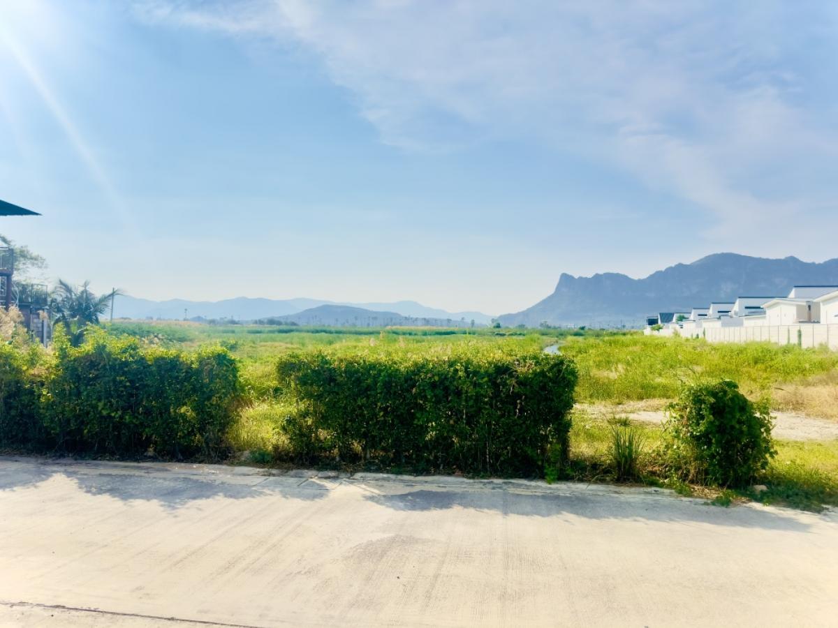 ขายที่ดินชะอำ เพชรบุรี : ขายต่ำกว่าราคาประเมิน ที่ดินแปลงใหญ่ วิวภูเขา ใกล้หาดชะอำ เนื้อทึ่ 16-1-84 ไร่ ถนนเพชรเกษม ตำบลชะอำ อำเภอชะอำ จังหวัดเพชรบบุรี