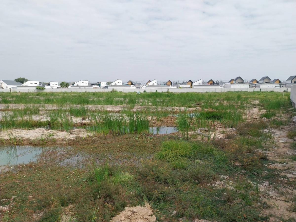 ขายที่ดินชะอำ เพชรบุรี : ขายต่ำกว่าราคาประเมิน ที่ดินแปลงใหญ่ วิวภูเขา ใกล้หาดชะอำ เนื้อทึ่ 16-1-84 ไร่ ถนนเพชรเกษม ตำบลชะอำ อำเภอชะอำ จังหวัดเพชรบบุรี