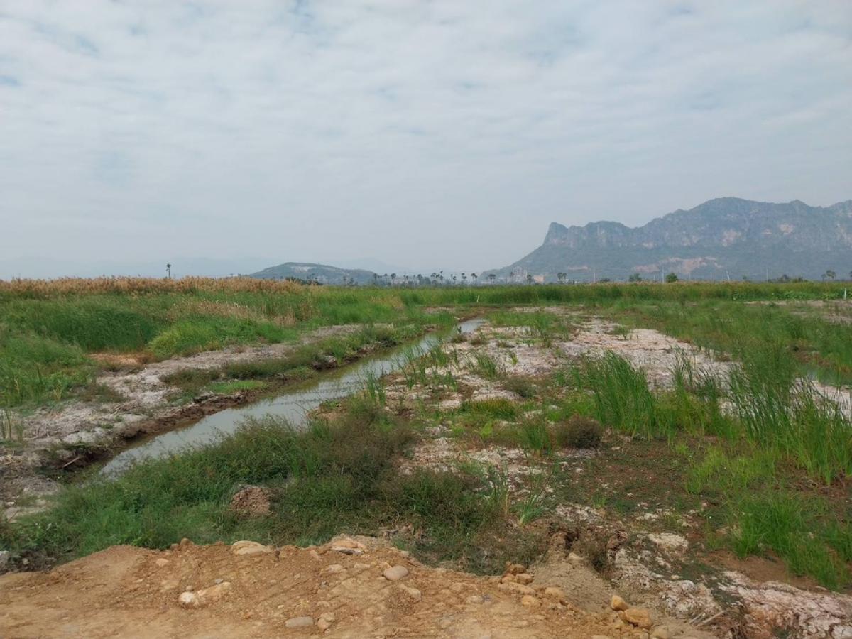 For SaleLandCha-am Phetchaburi : Land for sale, mountain view, near Cha-am beach, area 16-1-84 rai, Phetkasem Road, Cha-am Subdistrict, Cha-am District, Phetchaburi Province