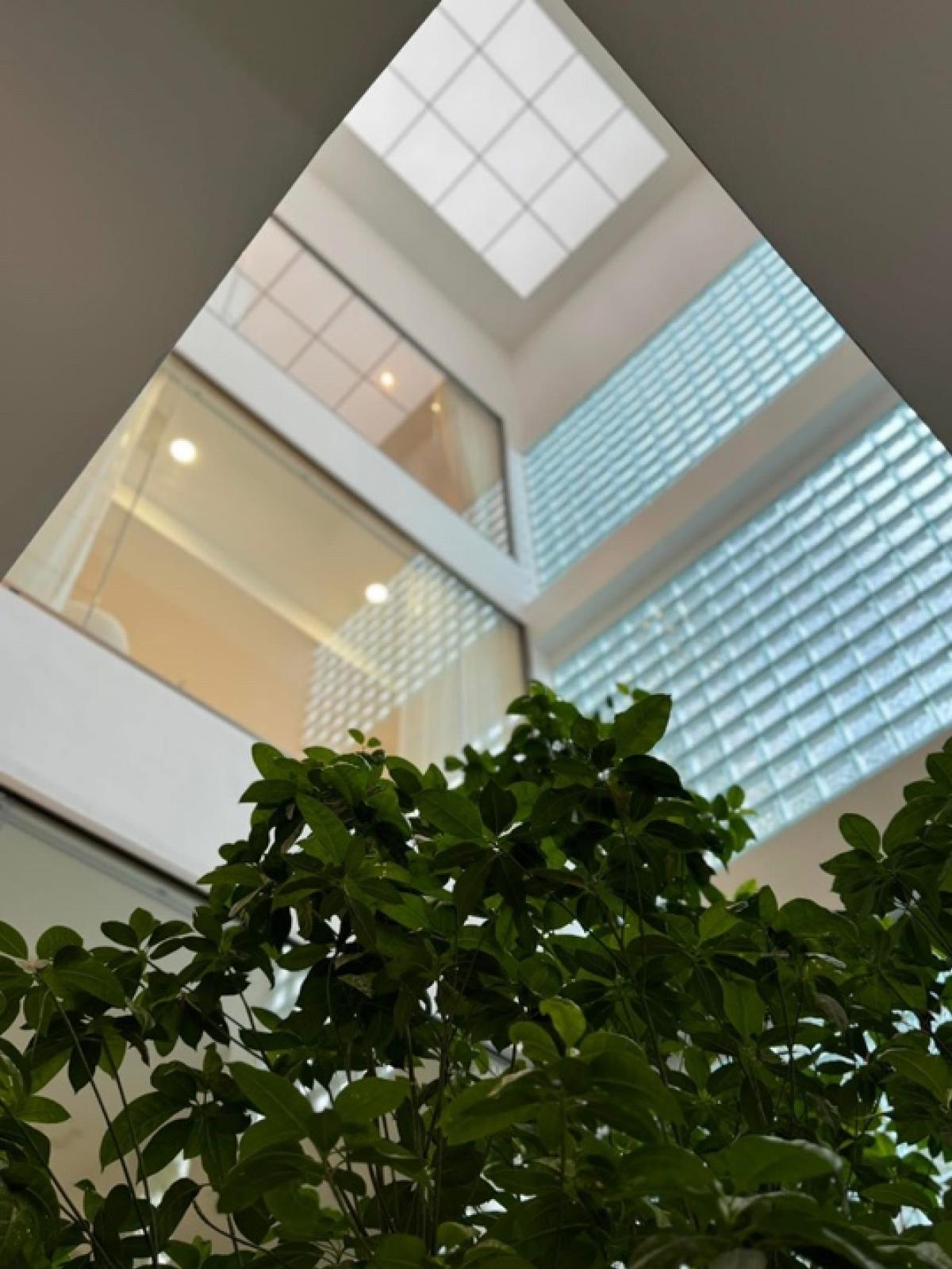 ขายโฮมออฟฟิศรัชดา ห้วยขวาง : ขาย Home office รัชดา 42  ขนาด 550 Sq.m 2 bed 6 bath |29,000,000 MB | ติดต่อ 086-795-9997