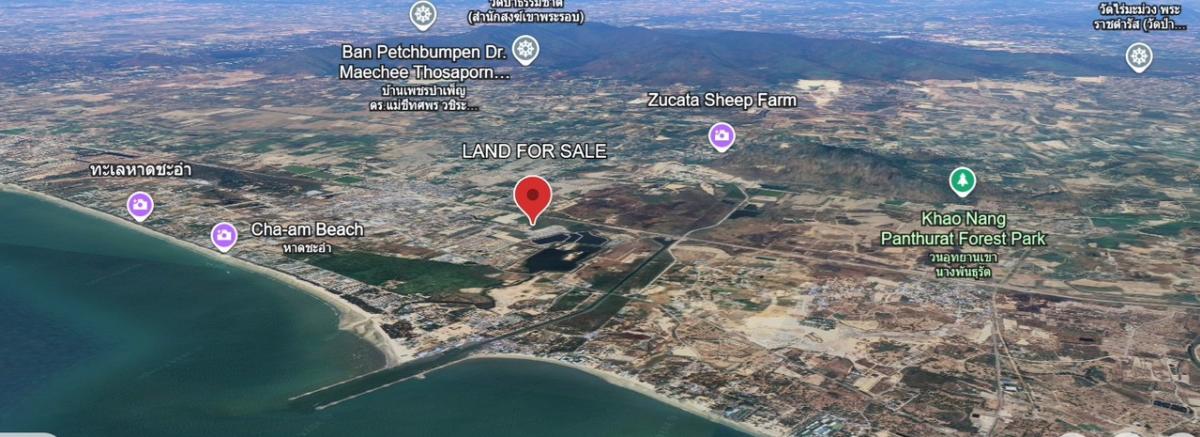 ขายที่ดินชะอำ เพชรบุรี : ขายต่ำกว่าราคาประเมิน ที่ดินแปลงใหญ่ วิวภูเขา ใกล้หาดชะอำ เนื้อทึ่ 16-1-84 ไร่ ถนนเพชรเกษม ตำบลชะอำ อำเภอชะอำ จังหวัดเพชรบบุรี