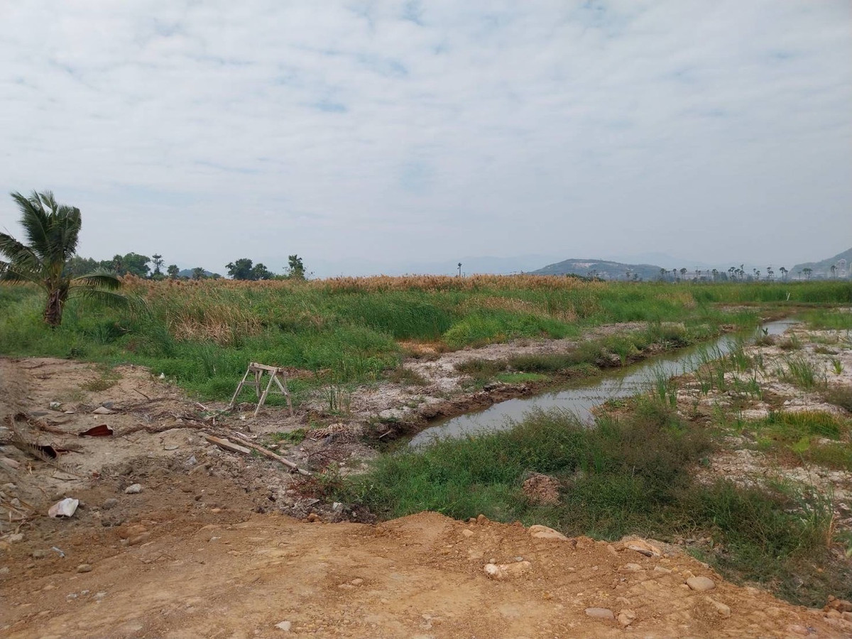 ขายที่ดินชะอำ เพชรบุรี : ขายต่ำกว่าราคาประเมิน ที่ดินแปลงใหญ่ วิวภูเขา ใกล้หาดชะอำ เนื้อทึ่ 16-1-84 ไร่ ถนนเพชรเกษม ตำบลชะอำ อำเภอชะอำ จังหวัดเพชรบบุรี