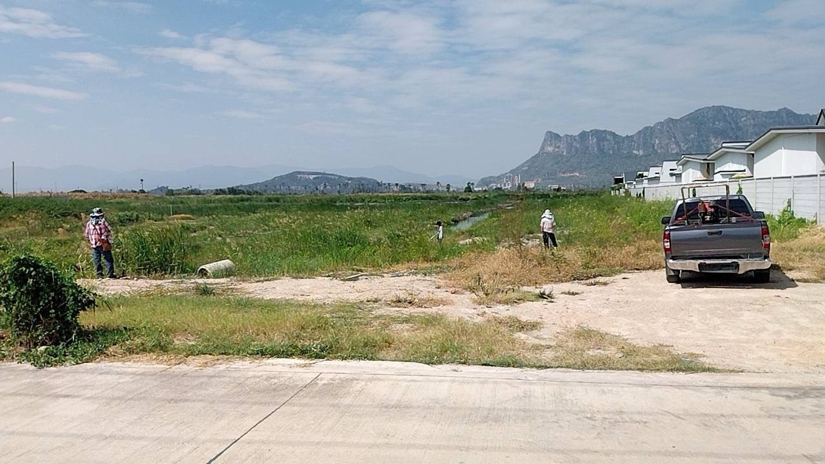 ขายที่ดินชะอำ เพชรบุรี : ขายต่ำกว่าราคาประเมิน ที่ดินแปลงใหญ่ วิวภูเขา ใกล้หาดชะอำ เนื้อทึ่ 16-1-84 ไร่ ถนนเพชรเกษม ตำบลชะอำ อำเภอชะอำ จังหวัดเพชรบบุรี