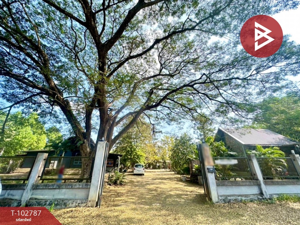 For SaleLandChanthaburi : Land for sale with buildings, area 1 rai 3 ngan 79 sq m, Soi Dao, Chanthaburi