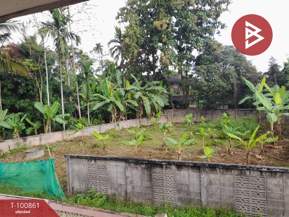 For SaleLandPhayao : Land for sale, area 1 ngan 3 sq.wa, Mae Chai, Phayao