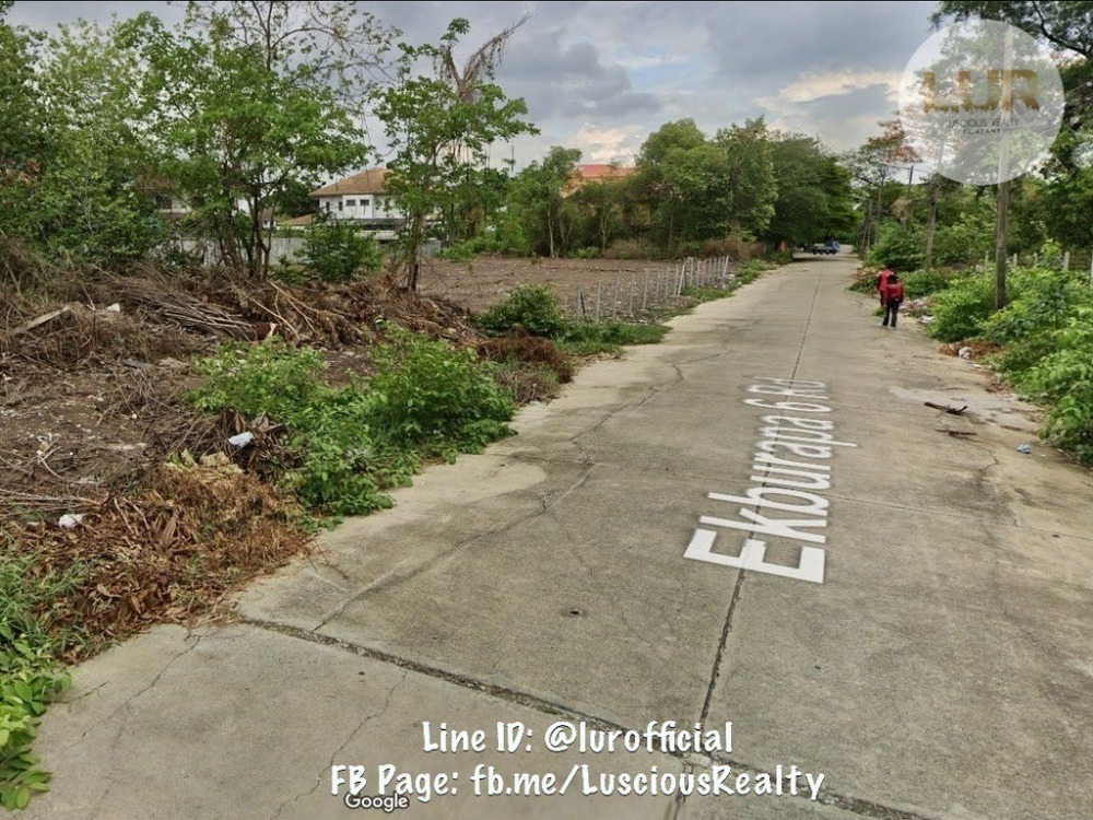 ขายที่ดินปทุมธานี รังสิต ธรรมศาสตร์ : ขายที่ดินแปลงสวยเมืองเอก หน้ากว้าง 19.5 เมตร ลึก 30.8 เมตร ถนนกว้าง 13 เมตร ซ.เอกบูรพา 6