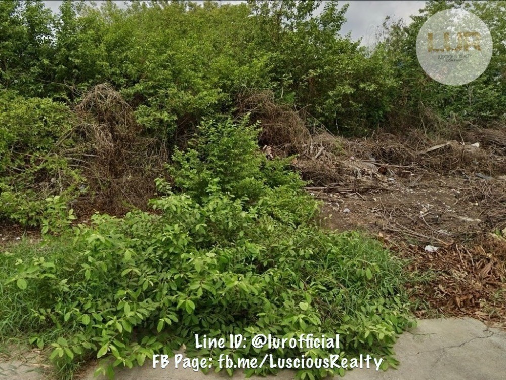 ขายที่ดินปทุมธานี รังสิต ธรรมศาสตร์ : ขายที่ดินแปลงสวยเมืองเอก หน้ากว้าง 19.5 เมตร ลึก 30.8 เมตร ถนนกว้าง 13 เมตร ซ.เอกบูรพา 6