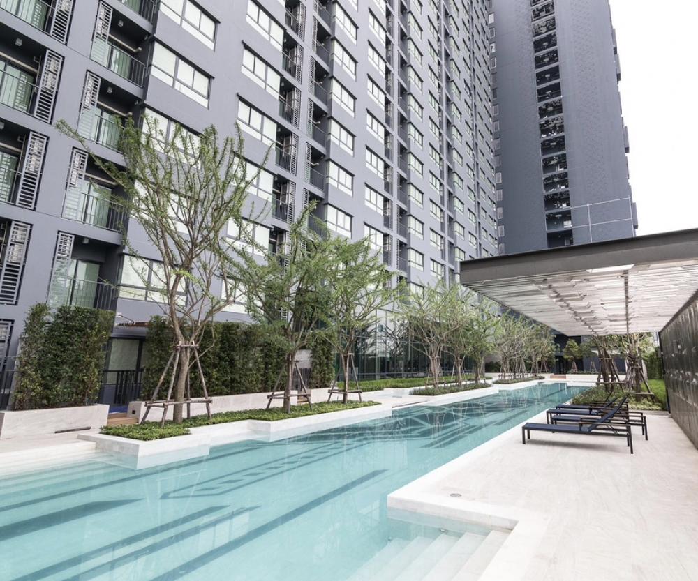 ขายคอนโดอ่อนนุช อุดมสุข : ห้องสวยชั้นสูงเฟอร์ฯครบ⭐IDEO Sukhumvit 93 (ไอดีโอ สุขุมวิท 93)