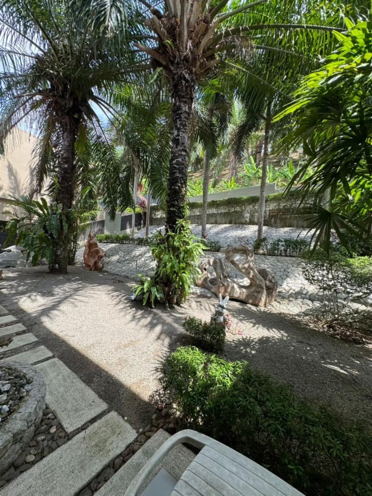 For SaleHousePhuket : Baan Suan Loch Palm Project 🌴🌴