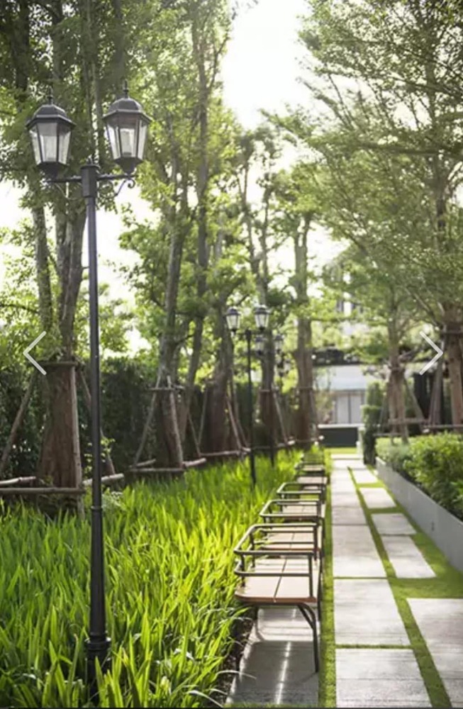 ขายคอนโดอ่อนนุช อุดมสุข : ทิศตะวันออก ห้องสวยเฟอร์ฯครบ⭐The Base Park West (เดอะ เบส พาร์ค เวสต์ สุขุมวิท 77)