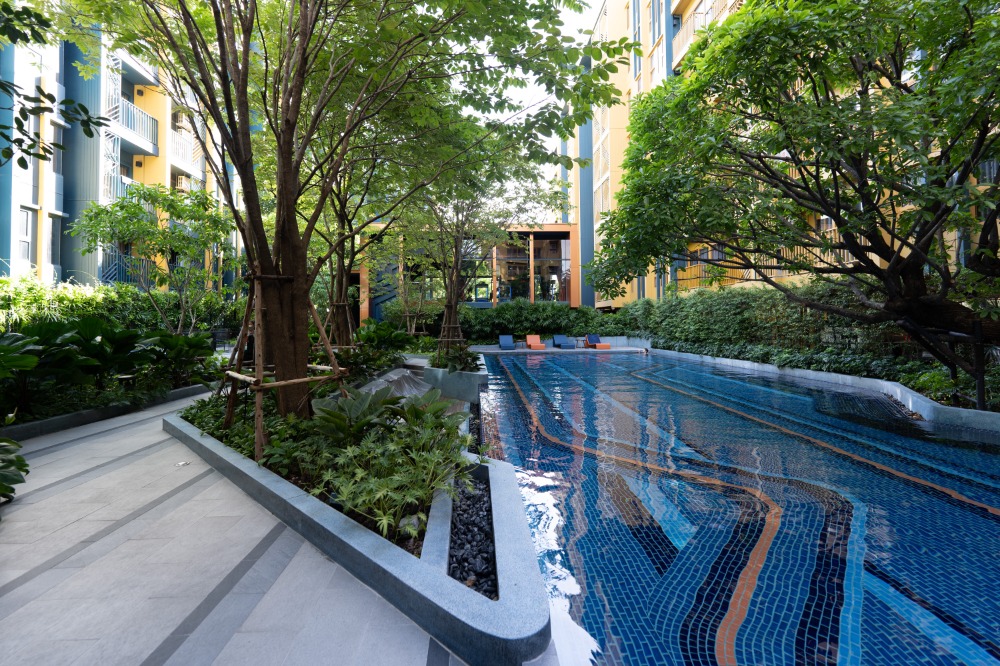 ขายคอนโดอ่อนนุช อุดมสุข : ห้องสวยไม่เคยปล่อยเช่า เฟอร์ฯครบ⭐The Base Sukhumvit 50 (เดอะ เบส สุขุมวิท 50)