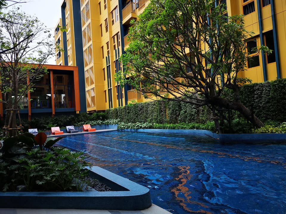 ขายคอนโดอ่อนนุช อุดมสุข : ห้องสวยเฟอร์ฯครบ⭐The Base Sukhumvit 50 (เดอะ เบส สุขุมวิท 50)