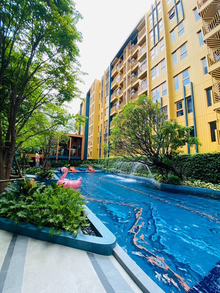 ขายคอนโดอ่อนนุช อุดมสุข : ห้องสวยไม่เคยปล่อยเช่า เฟอร์ฯครบ⭐The Base Sukhumvit 50 (เดอะ เบส สุขุมวิท 50)