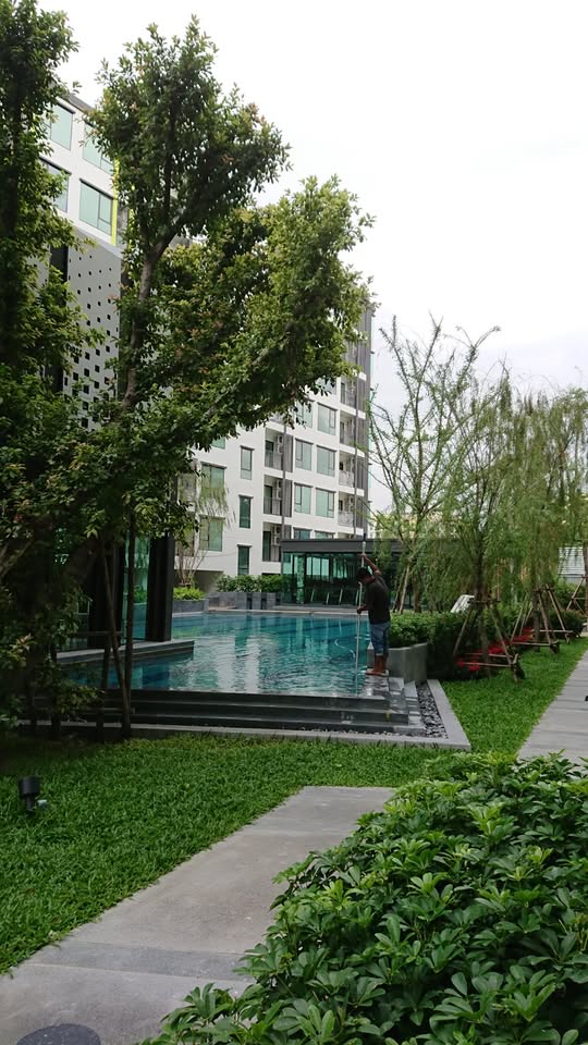 ขายคอนโดอ่อนนุช อุดมสุข : ห้องสวยเฟอร์ฯครบ⭐Niche Mono Sukhumvit 50 (นิช โมโน สุขุมวิท 50)