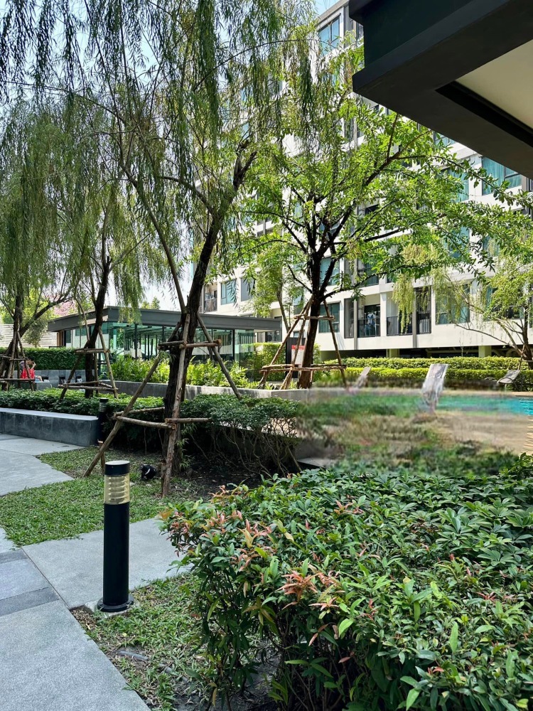 ขายคอนโดอ่อนนุช อุดมสุข : ห้องสวยเฟอร์ฯครบ⭐Niche Mono Sukhumvit 50 (นิช โมโน สุขุมวิท 50)