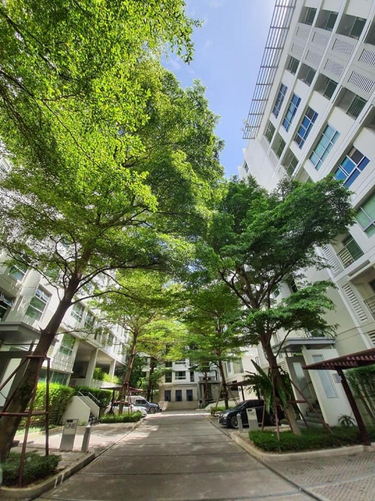 ขายคอนโดอ่อนนุช อุดมสุข : ห้องมุม เฟอร์นิเจอร์ครบ⭐The Room Sukhumvit 79