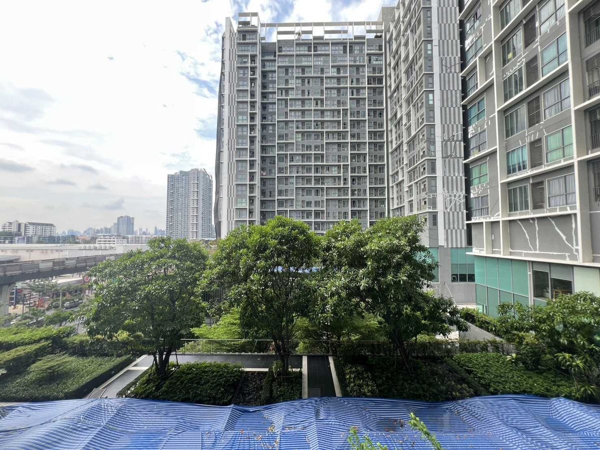 ขายคอนโดอ่อนนุช อุดมสุข : ห้องแต่งสวยตรงปก เฟอร์ฯครบราคาดีมาก!!⭐IDEO Mobi Sukhumvit 81 (ไอดีโอ โมบิ สุขุมวิท 81)