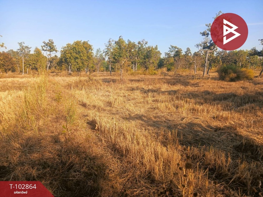 For SaleLandAmnat Charoen : Land for sale, green zone, area 4 rai 3 ngan, ninety-nine square wa, Pathum Ratchawongsa District, Amnat Charoen