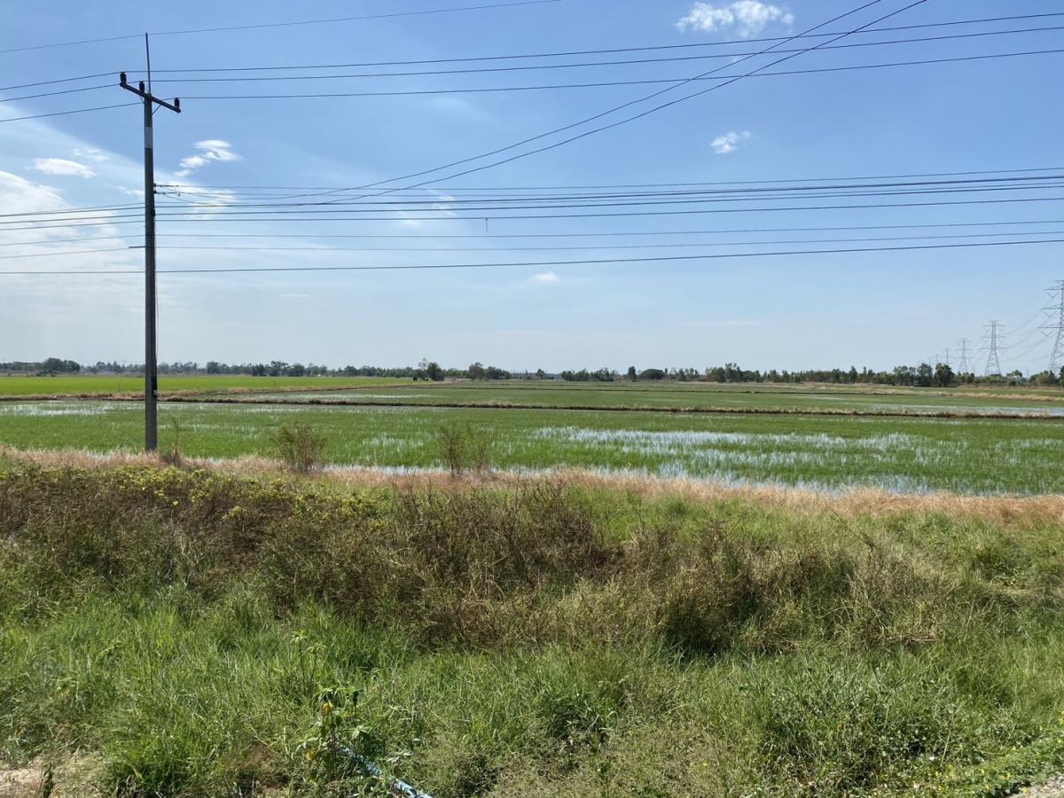 ขายที่ดินอยุธยา : ขายที่ดินแปลงใหญ่ 68-2-9 ไร่ ติดถนนใหญ่สาย 347 (ปทุมธานี-บางปะหัน) บางปะอิน อยุธยา
