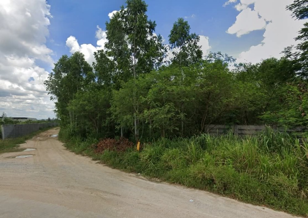 For SaleLandPattaya, Bangsaen, Chonburi : Land Nong Phai Kaew Ban Bueng / (SALE) AA185