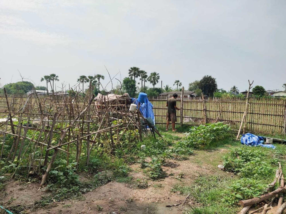 For SaleLandLampang : Land for sale, 4 rai, 2 ngan, 6.70 sq m., Lampang Province