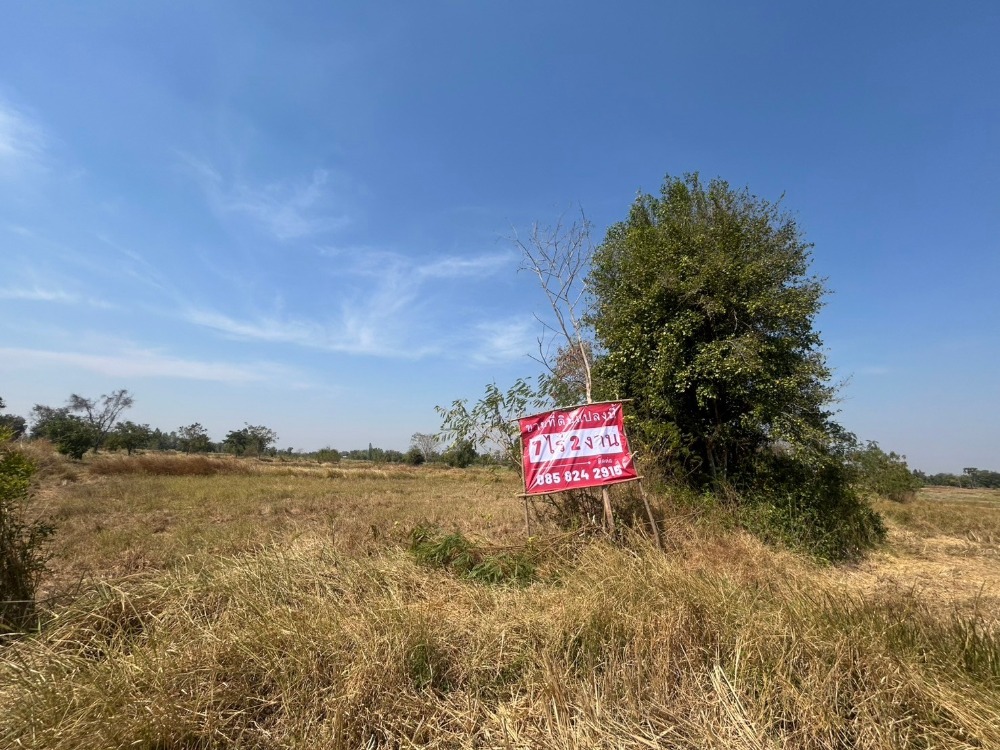 For SaleLandKhon Kaen : Agricultural land for sale, Ban Phrabu, with concrete road to the land, electricity available, next to a water source.